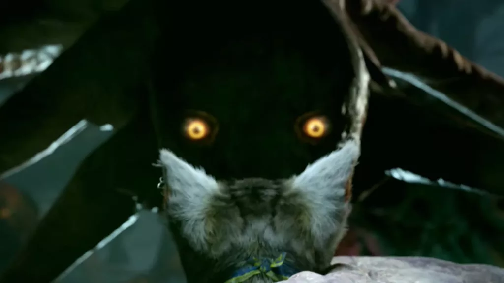 jc6WZqBz5FTVbWMTnCUJs8 1200 80