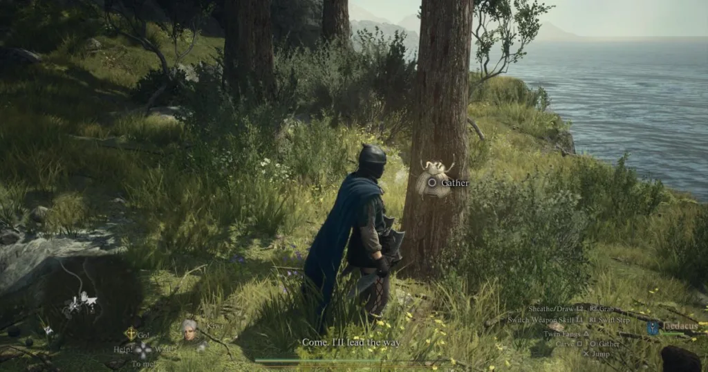 How to increase maximum carry weight in Dragon's Dogma 2