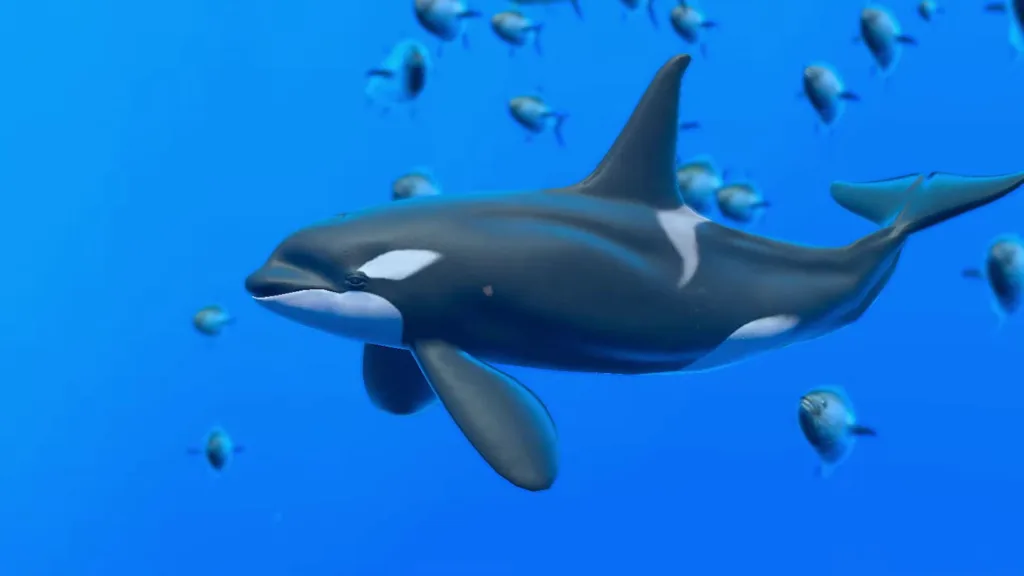Endless Ocean PV 04 04 24