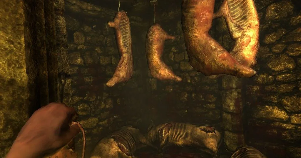 Amnesia: The Dark Descent è un gioco che ti spaventa male e lo devi provare assolutamente 4 ss db5cf1ca6aa0198d45b9ea892c202bd2bb451e74.1920x1080 jpg