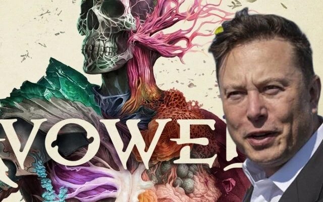 Se cercate un ulteriore motivo per giocare Avowed sappiate che Elon Musk lo ha criticato per la presenza di pronomi 10 1d9d36054146e08ba763 webp
