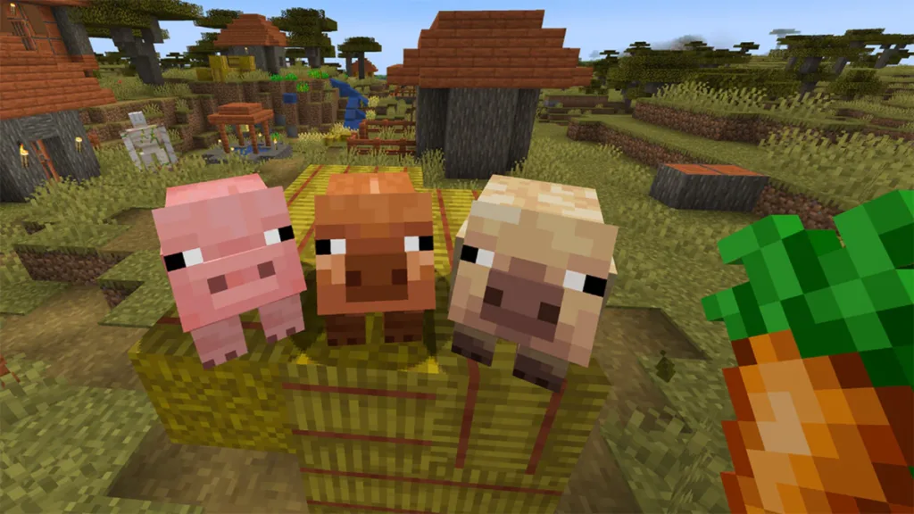 Dopo 15 anni, Minecraft ha finalmente aggiunto due nuove varianti di maiale: il maiale caldo e il maiale freddo 1 New warm and cold pigs