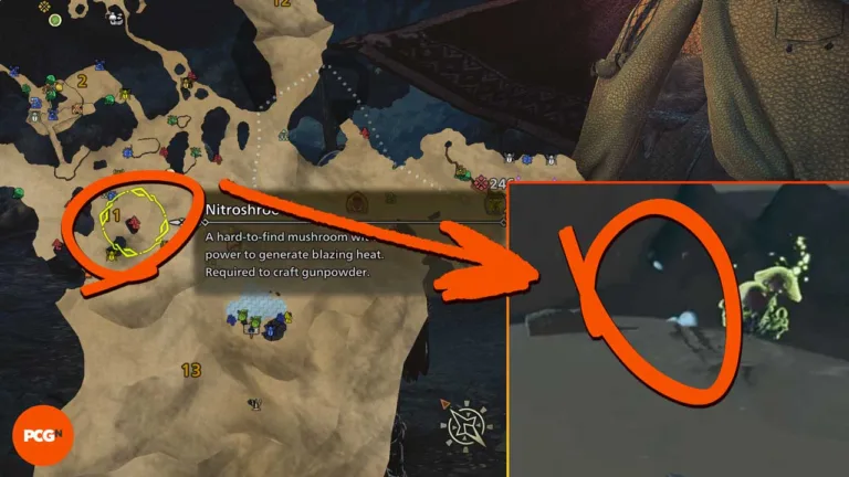 Una popolare location della Sabbiastello in Monster Hunter Wilds.